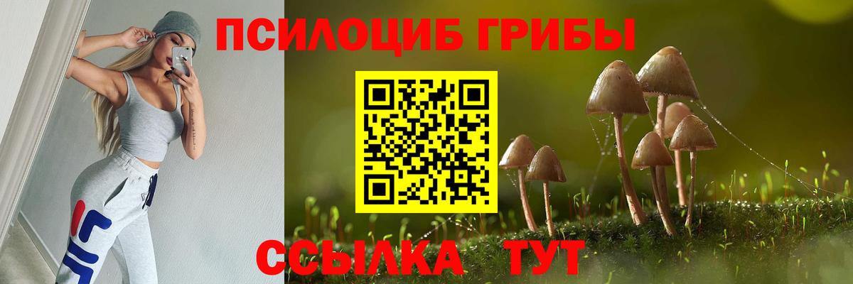 Псилоцибиновые грибы Cubensis Магадан